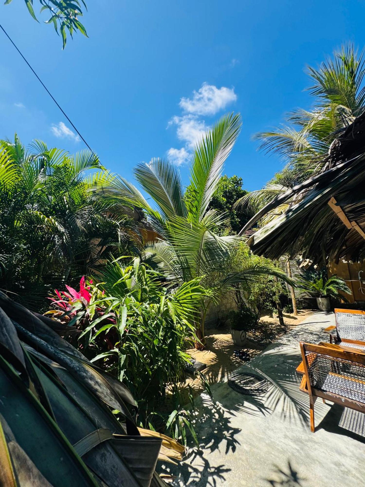 Dreamy Hostel Arugambay Arugam Bay Exteriér fotografie
